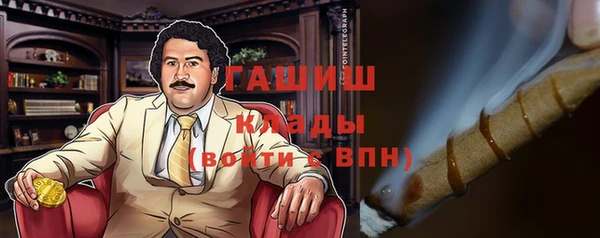 молекула духа Богородицк