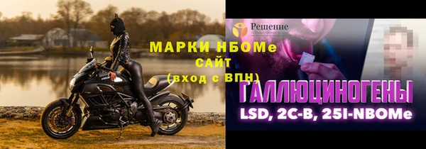 молекула духа Богородицк