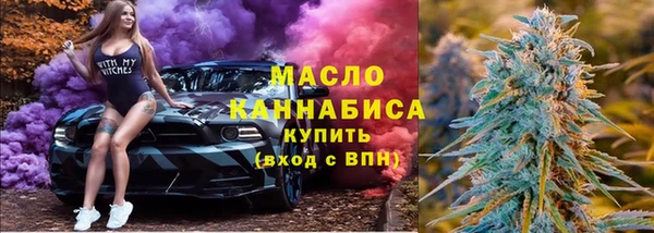 молекула духа Богородицк