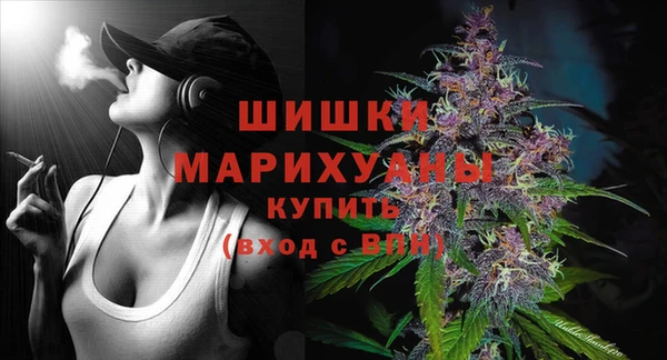 молекула духа Богородицк