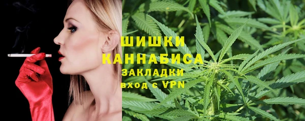 молекула духа Богородицк