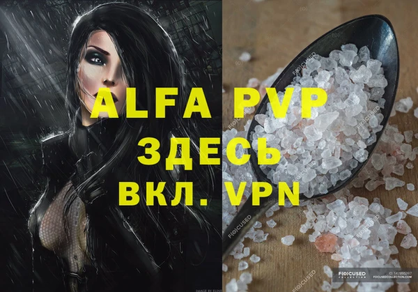 молекула духа Богородицк