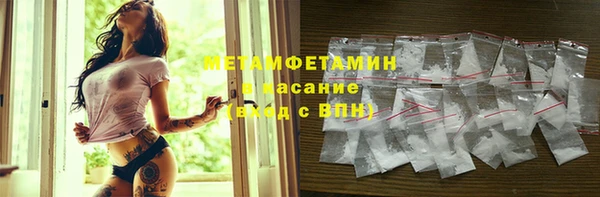 молекула духа Богородицк