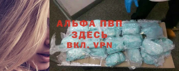 молекула духа Богородицк