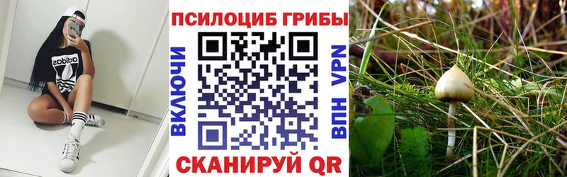 гидра зеркало  Когалым  Галлюциногенные грибы ЛСД 