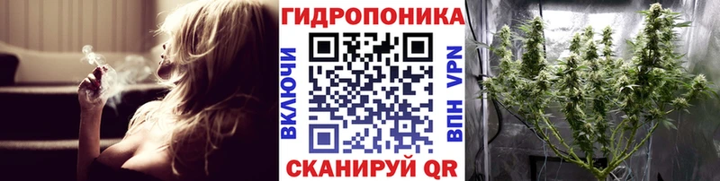 Конопля OG Kush Когалым